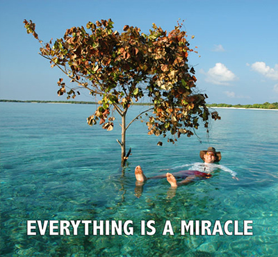 Everything is a miracle - Positive Thinking Doctor - David J. Abbott M.D.